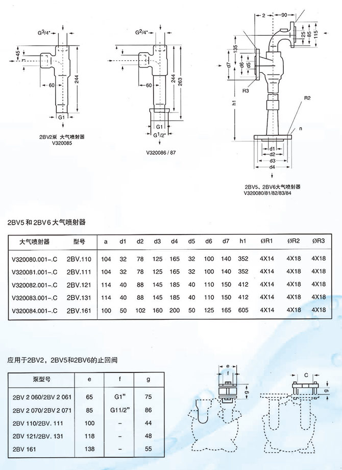 F2BV耐腐蚀真空泵(图2)